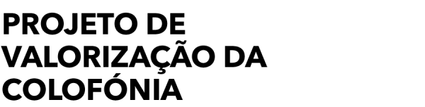 Logo projecto 2